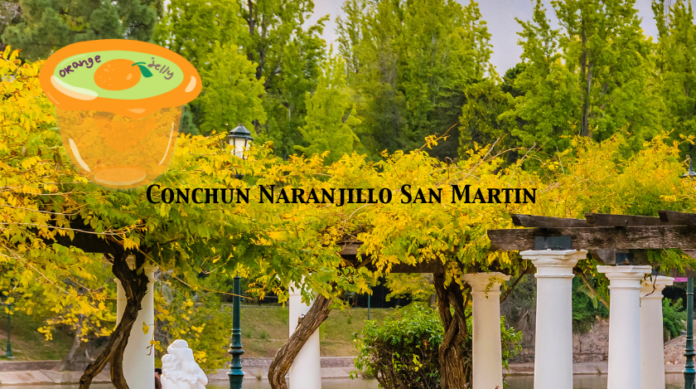 Conchun Naranjillo San Martin